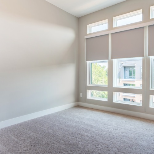 bedroom with carpet and windows