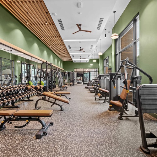 free weights in large gym